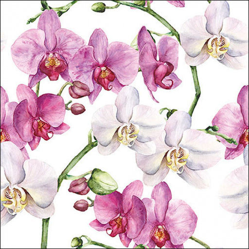 Orchideen Servietten kaufen